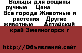 Вальцы для вощины ручные  › Цена ­ 10 000 - Все города Животные и растения » Другие животные   . Алтайский край,Змеиногорск г.